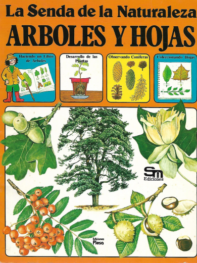 La Senda de la Naturaleza Arboles y Hojas