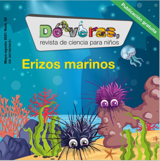 Erizos Marinos