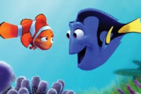 Procurando Nemo encontrei você